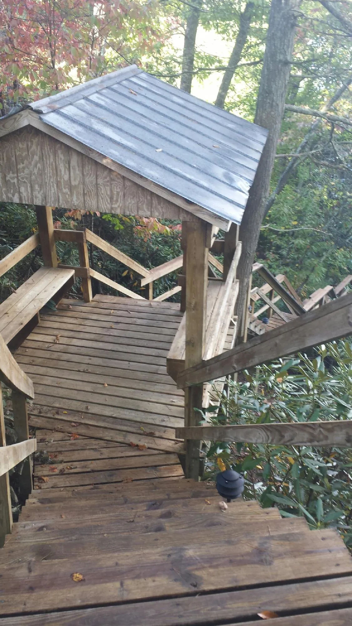 Metal roofed shelter over wooden steps on a wooded walkway — Skylight Repair & Installation work by our crew in Nehalem